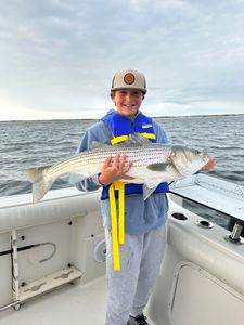 Striped bass caught while fishing in MA