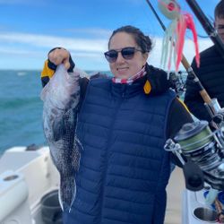 A single fishing enthusiast in Orleans, enjoying a day of great fishing