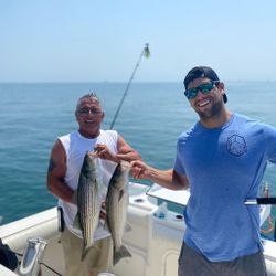Two striped bass being held by two people in MA