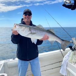 Striped bass caught while fishing in MA