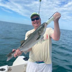 Striped bass caught while fishing in MA