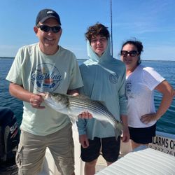 Striped bass caught on fishing trip in MA