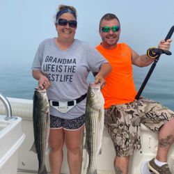 Striped bass fishing in MA