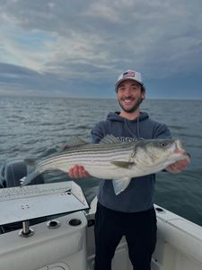 Striped bass caught on fishing tour in MA