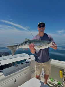 Striped bass caught while fishing in MA