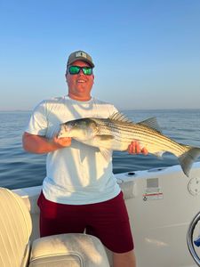 Striped bass caught while fishing in MA