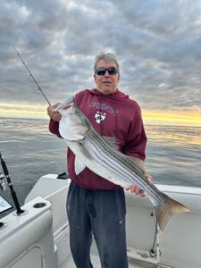 Striped bass caught fishing in MA
