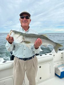 Striped bass caught fishing in MA