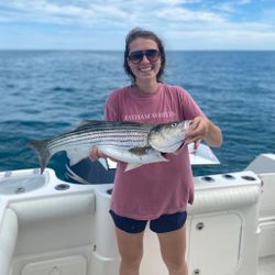 Striped bass fishing in Orleans