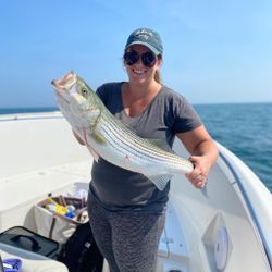 Striped bass caught on fishing tour in Orleans
