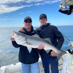 Striped bass caught during fishing tour in Orleans