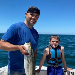 Two striped bass, 26 inches long, fishing in Orleans