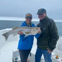 Striped bass caught in Orleans, Massachusetts