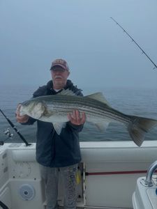 Striped bass fishing in Orleans