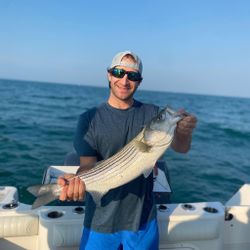 Striped bass caught while fishing in MA