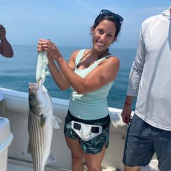 Striped bass caught on fishing tour in MA