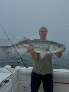 Striped bass caught on fishing tour in Massachusetts
