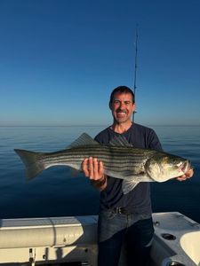 Striped bass caught on fishing tour in MA