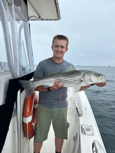 Striped bass caught by angler in Massachusetts