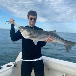 Striped bass caught while fishing in Orleans