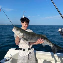 Striped bass caught during fishing tour in Orleans