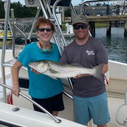 A striped bass being held by two people in Orleans