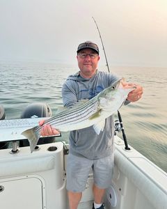 Striped bass fishing in Orleans