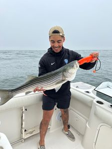 Striped bass fishing in Orleans