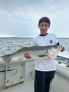 Striped Bass caught in Orleans