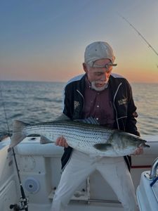 Striped bass caught while fishing in Orleans