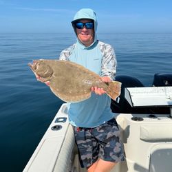 Summer flounder fish caught in MA