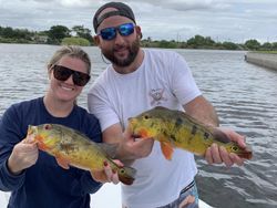 Peacock Bass Delights In Florida Waters