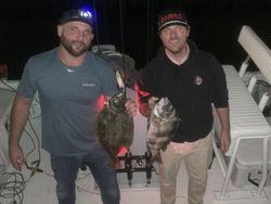 Flounder And Sheepshead Reels In Florida Waters