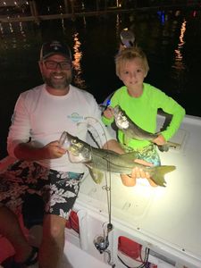 Snook Delights In Florida