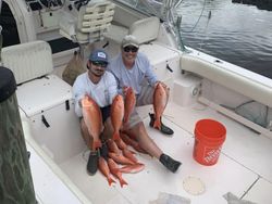 Red Snapper Haul In Stuart, FL