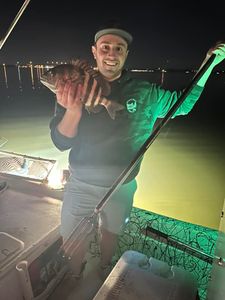 Night Fishing For Florida's Finest Sheepshead