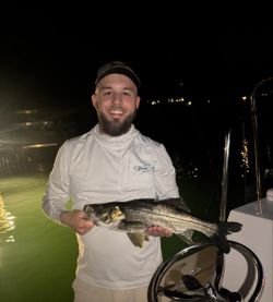 Snook fishing in FL