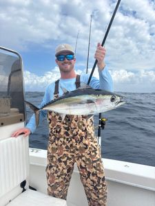 Blackfin tuna caught during fishing trip in Port Salerno FL