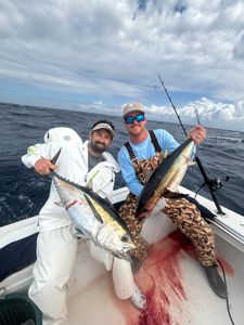 Two blackfin tuna caught while fishing in Port Salerno FL waters