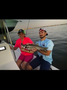 Snook fish caught while fishing in Florida