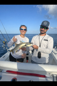 Successful snook fishing trip on charter boat in Port Salerno Florida waters