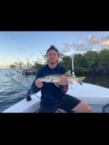 Snook fish caught in FL