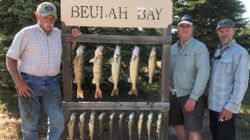 5 bluefish, fishing on location in ND