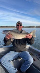 Walleye caught on fishing trip in ND