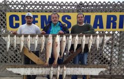 Great Charter Fishing Haul at Corpus Christi