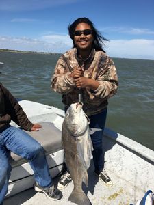 Black Drum on the Deck at Corpus Christi Charters