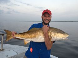 Massive Redfish Bounty at Corpus Christi Charters