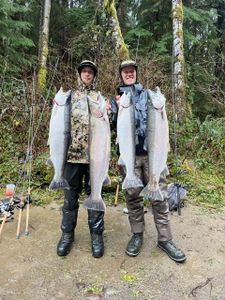 Three Coho Salmon and Rainbow Trout in Tillamook