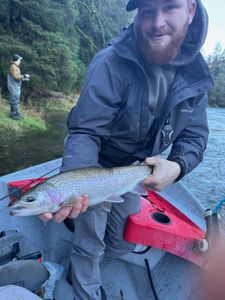 Fishing for a rainbow trout in OR
