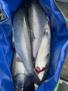 A fishing trip in Tillamook